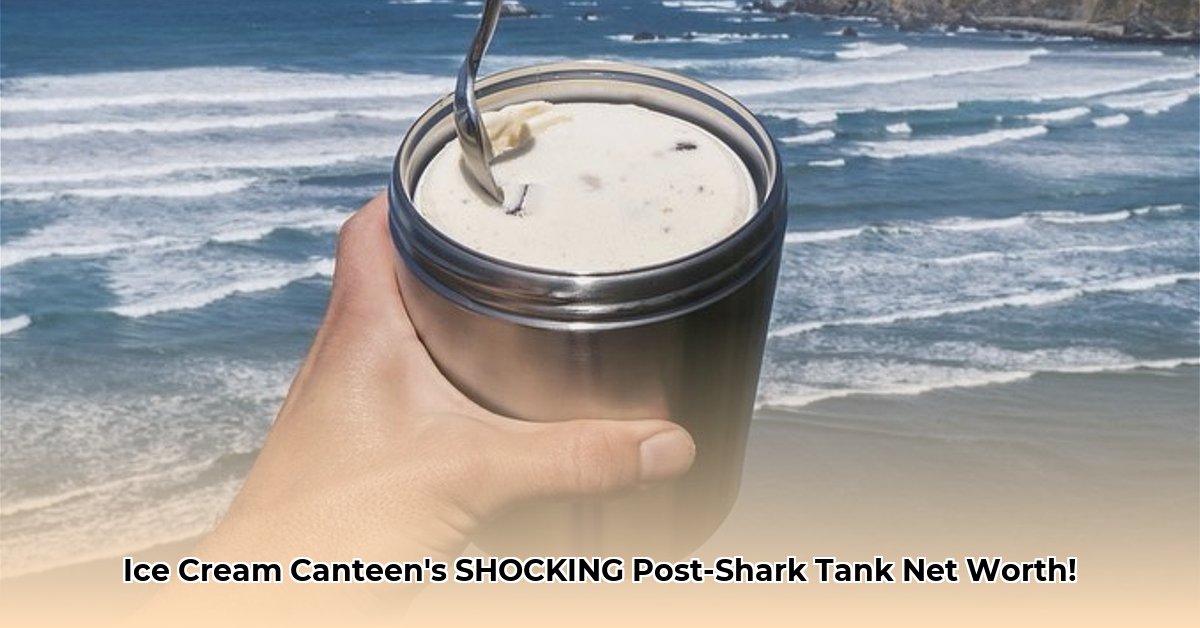 the-ice-cream-canteen-net-worth